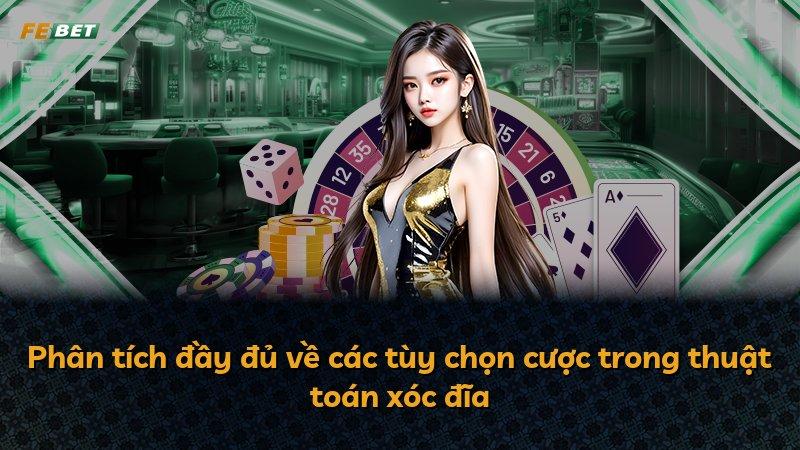 Phân tích đầy đủ về các tùy chọn cược trong thuật toán xóc đĩa