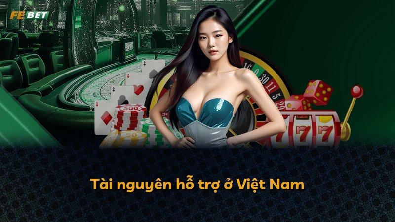 Tài nguyên hỗ trợ ở Việt Nam