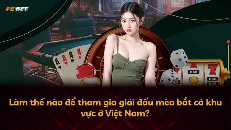 Làm thế nào để tham gia giải đấu mèo bắt cá khu vực ở Việt Nam?
