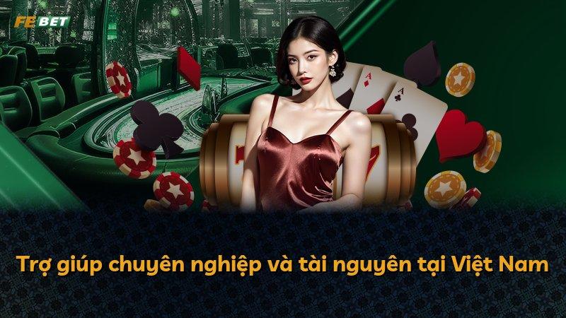 Trợ giúp chuyên nghiệp và tài nguyên tại Việt Nam