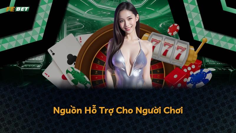 Nguồn Hỗ Trợ Cho Người Chơi